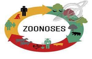 Controle de zoonoses